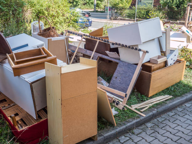 Best Hoarding Cleanup  in North Branch, MN