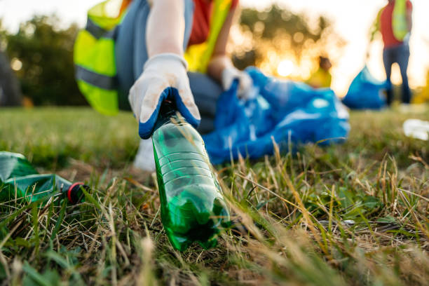 Best Property Management Cleanouts  in North Branch, MN